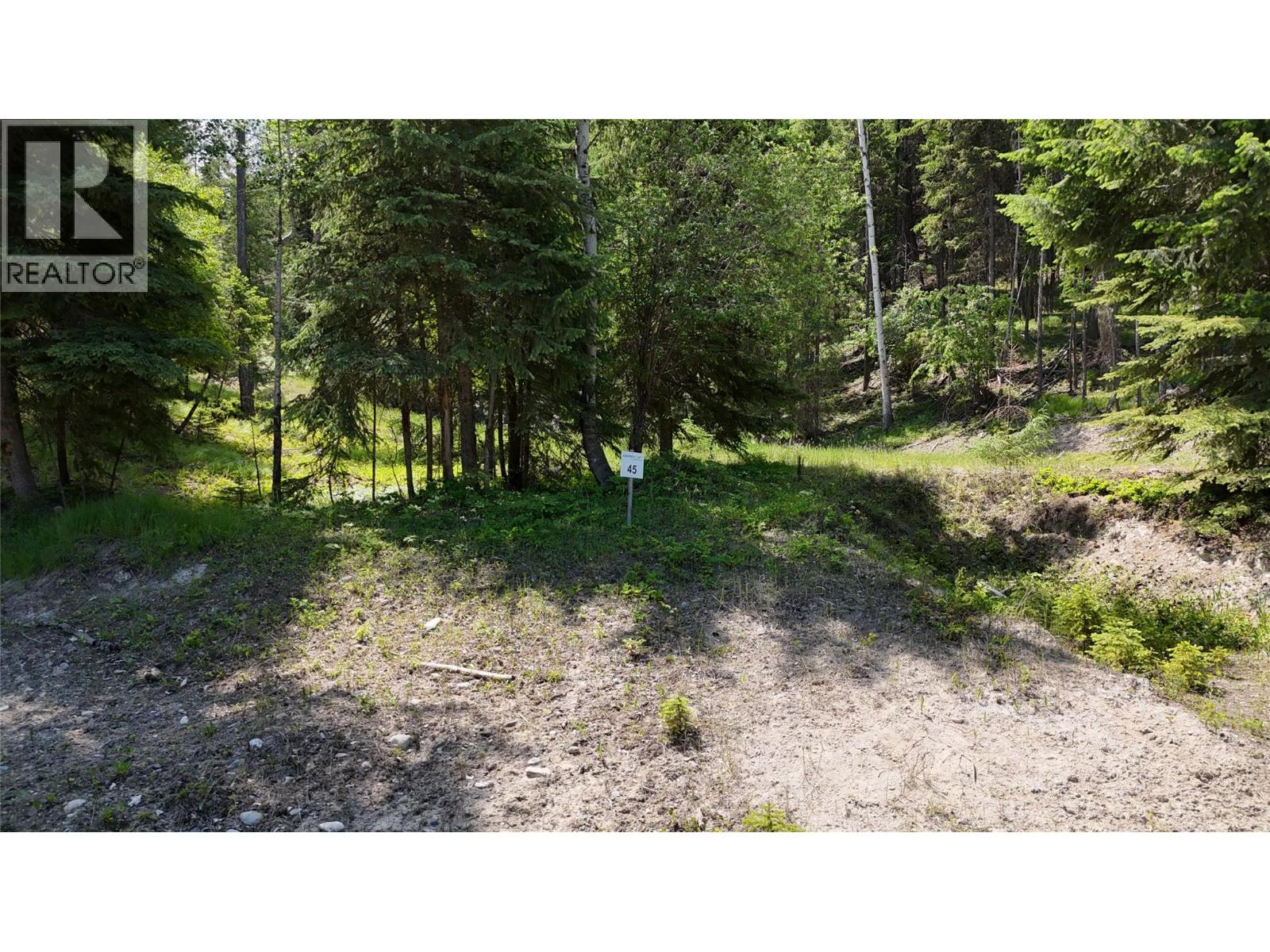Vacant Land for Sale in Wardner – SL45 OSPREY LANDING Drive, Wardner - Image 6