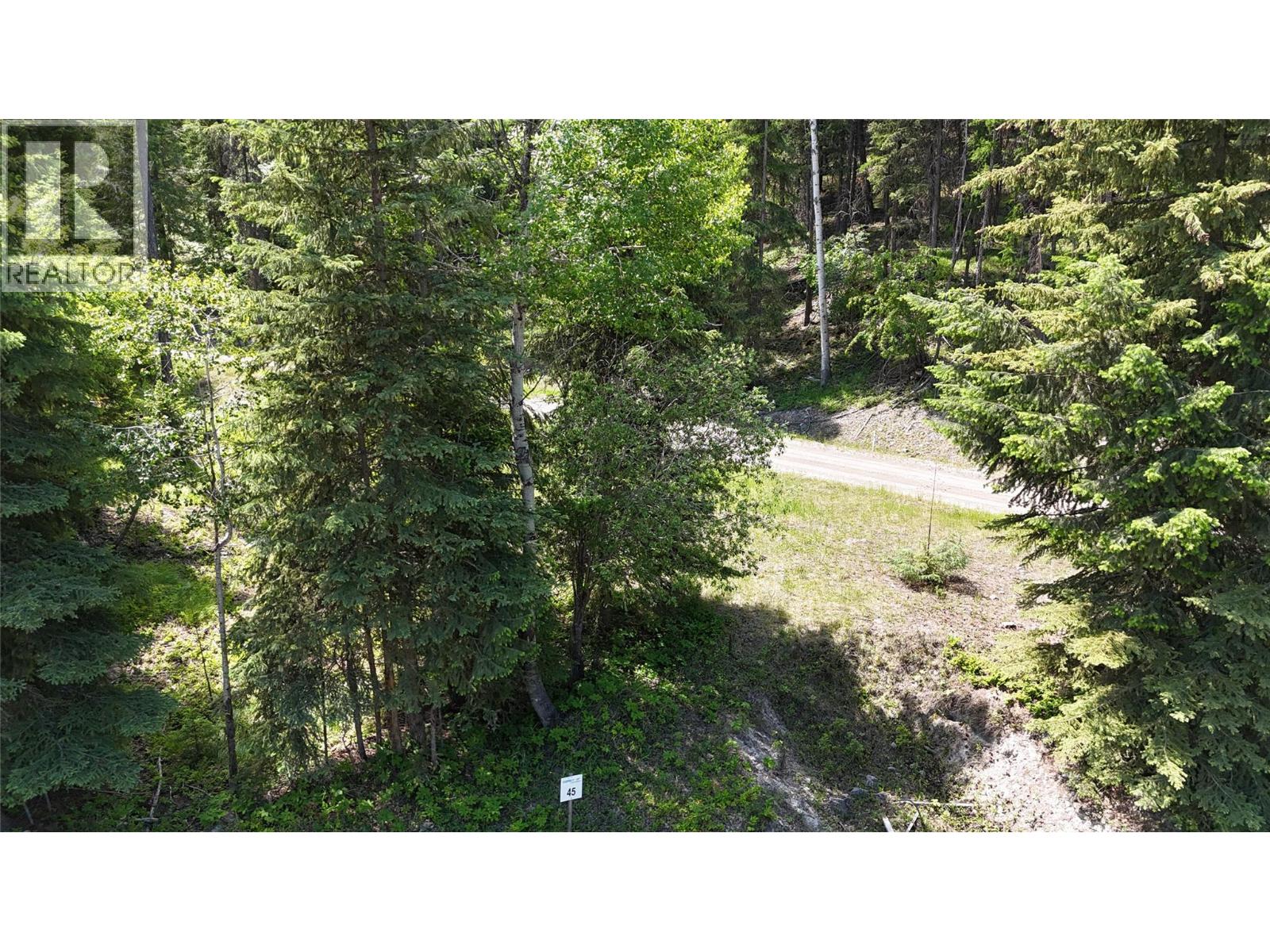 Vacant Land for Sale in Wardner – SL45 OSPREY LANDING Drive, Wardner - Image 2