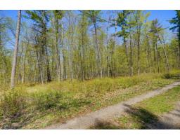 8 Ch. Harmony Bay, L Ile Du Grand Calumet, QC J0X1J0 Photo 13