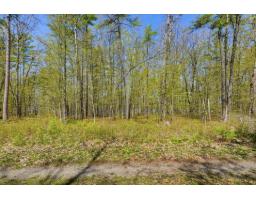 8 Ch. Harmony Bay, L Ile Du Grand Calumet, QC J0X1J0 Photo 11