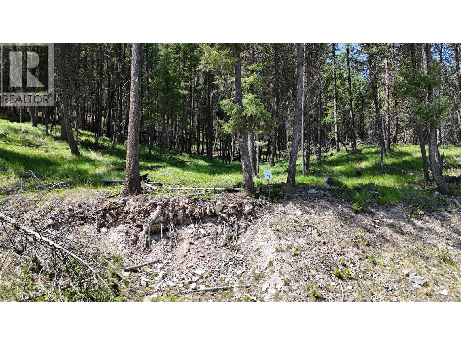 Vacant Land for Sale in Wardner – SL46 OSPREY Landing Drive, Wardner - Image 3