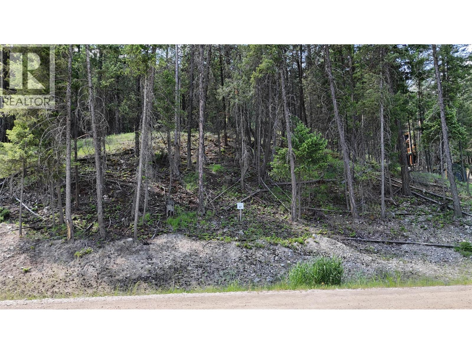 Vacant Land for Sale in Wardner – SL47 OSPREY LANDING Drive, Wardner - Image 3
