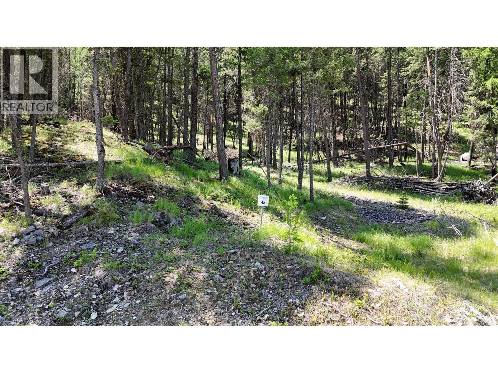 Vacant Land for Sale in Wardner – SL48 OSPREY Landing Drive, Wardner - Image 4