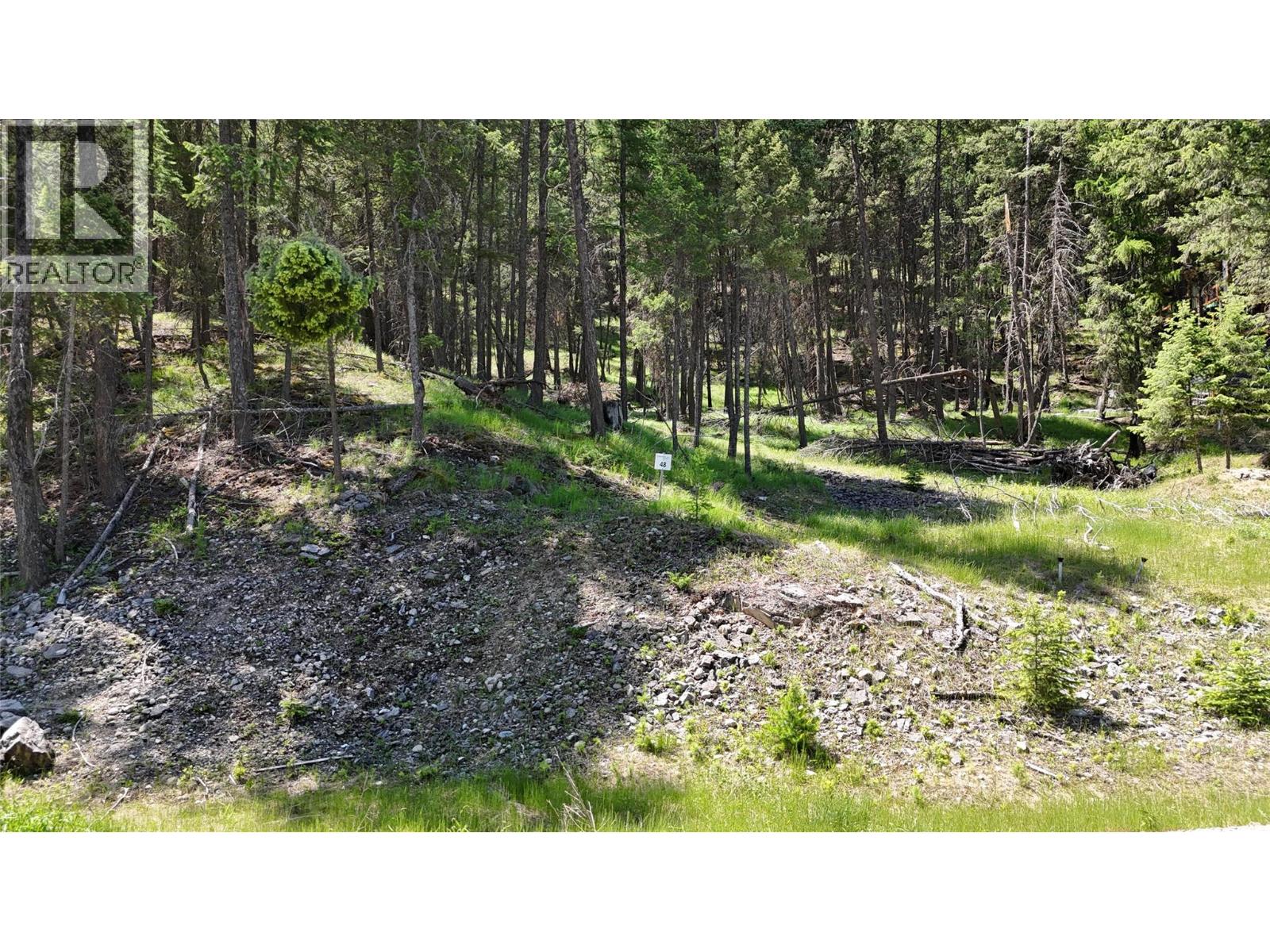 Vacant Land for Sale in Wardner – SL48 OSPREY Landing Drive, Wardner - Image 5