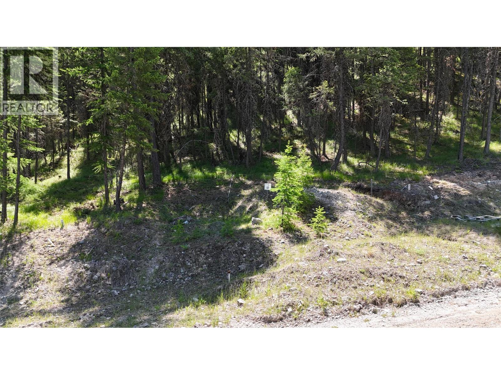 Vacant Land for Sale in Wardner – SL57 OSPREY Landing VIEW, Wardner - Image 4