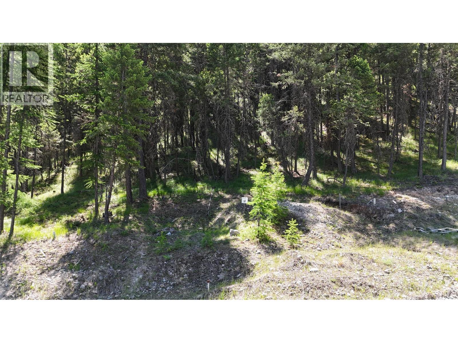 Vacant Land for Sale in Wardner – SL57 OSPREY Landing VIEW, Wardner