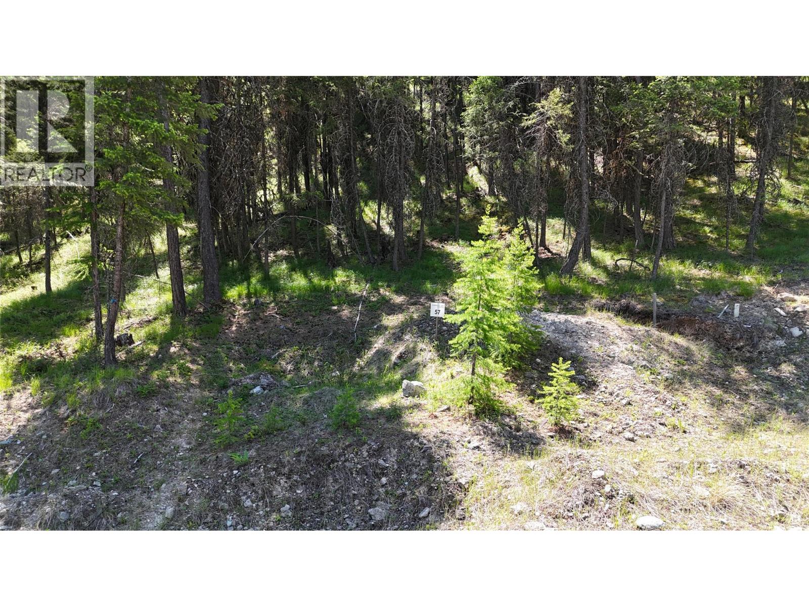 Vacant Land for Sale in Wardner – SL57 OSPREY Landing VIEW, Wardner - Image 6