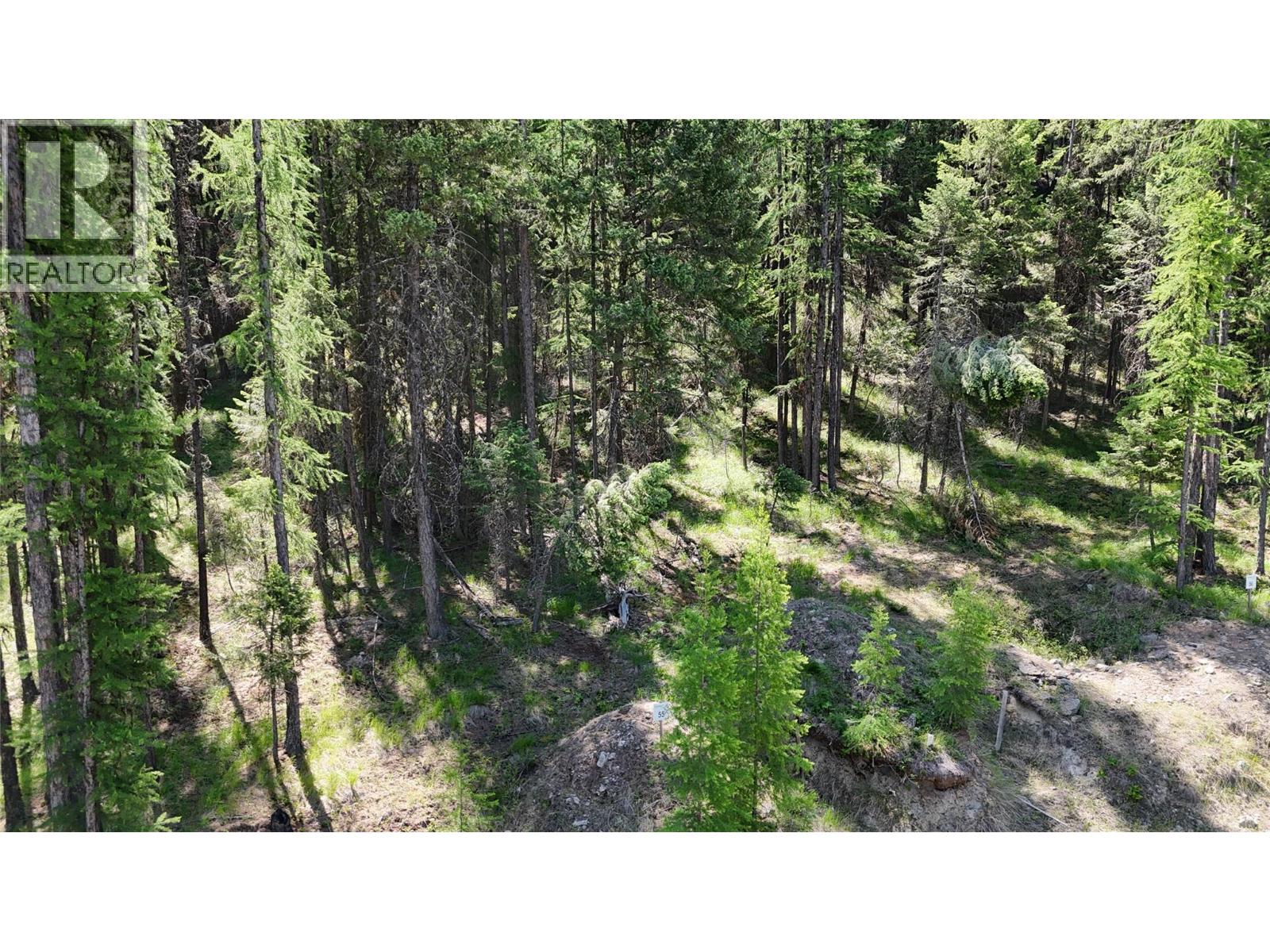 Vacant Land for Sale in Wardner – SL 55 Osprey Landing View, Wardner - Image 2