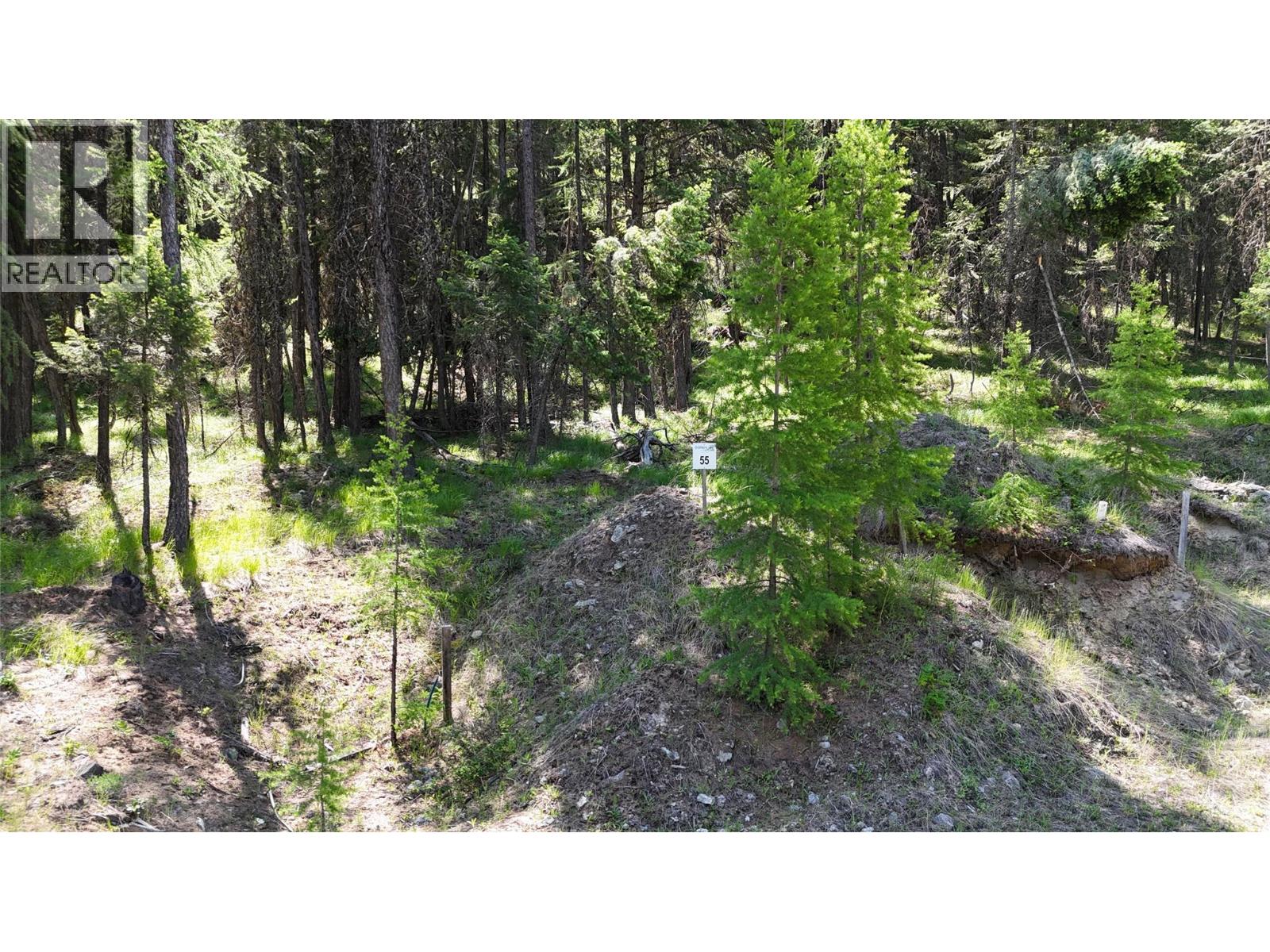 Vacant Land for Sale in Wardner – SL 55 Osprey Landing View, Wardner - Image 6
