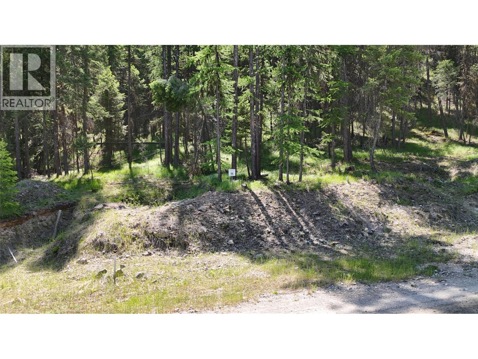 Vacant Land for Sale in Wardner – SL 56 Osprey Landing View, Wardner - Image 7