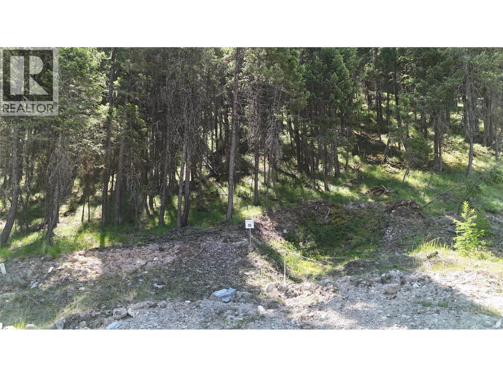 Vacant Land for Sale in Wardner – SL58 Osprey Landing View, Wardner - Image 4