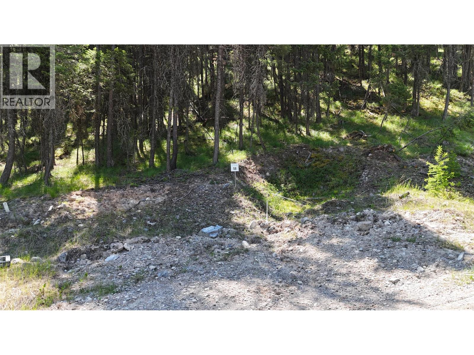 Vacant Land for Sale in Wardner – SL58 Osprey Landing View, Wardner