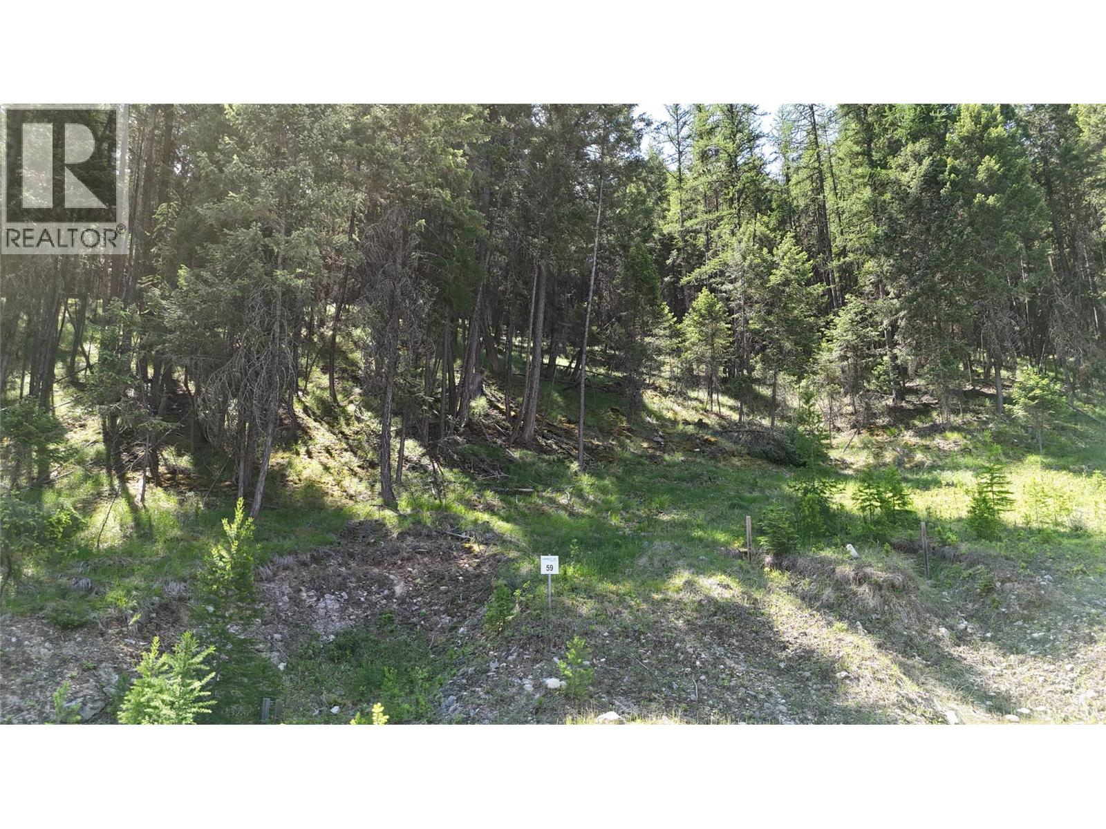 Vacant Land for Sale in Wardner – SL59 Osprey Landing View, Wardner - Image 4