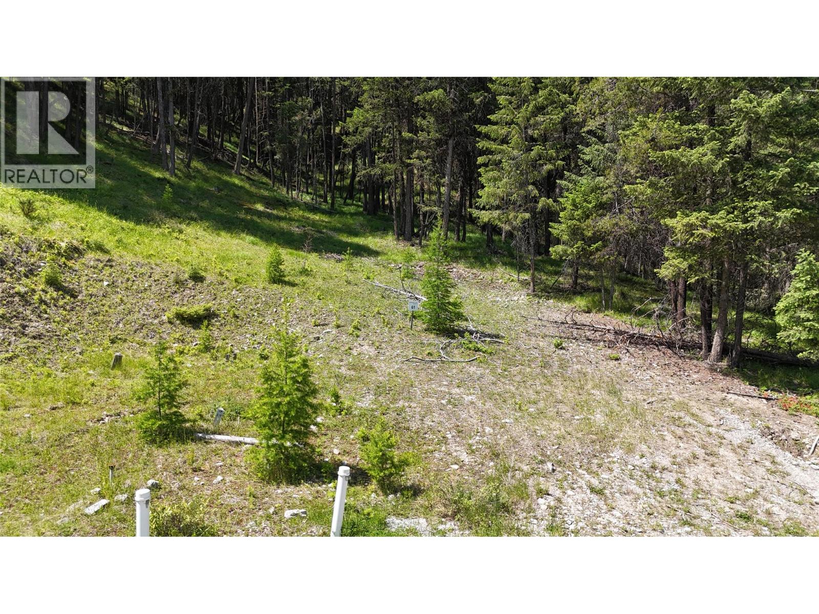 Vacant Land for Sale in Wardner – SL 61 OSPREY Landing VIEW, Wardner - Image 3