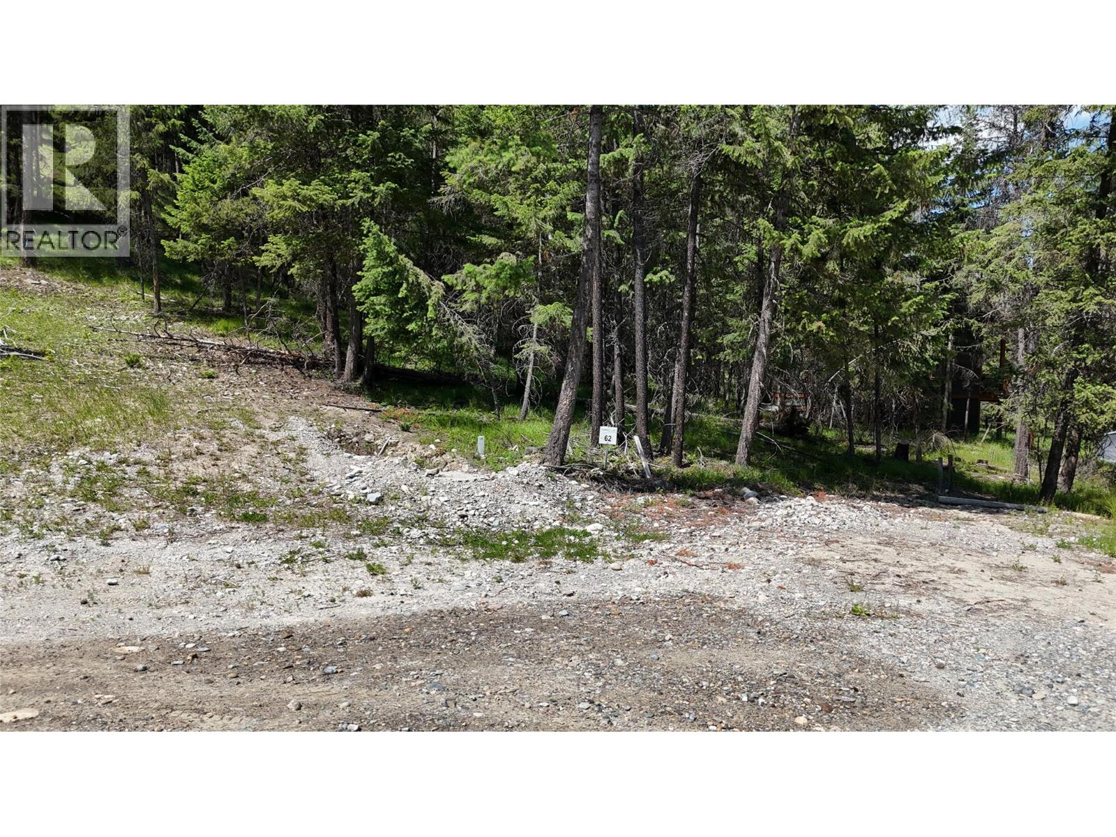 Vacant Land for Sale in Wardner – SL62 Osprey Landing View, Wardner - Image 4
