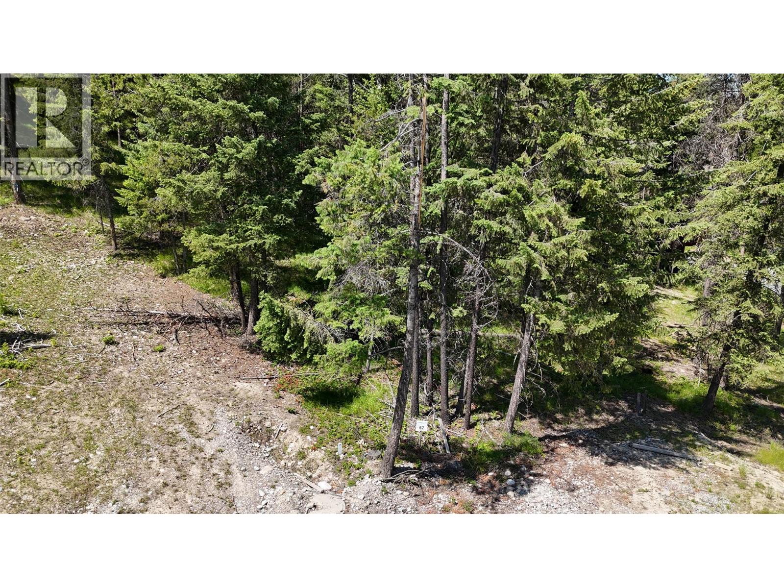 Vacant Land for Sale in Wardner – SL62 Osprey Landing View, Wardner - Image 3