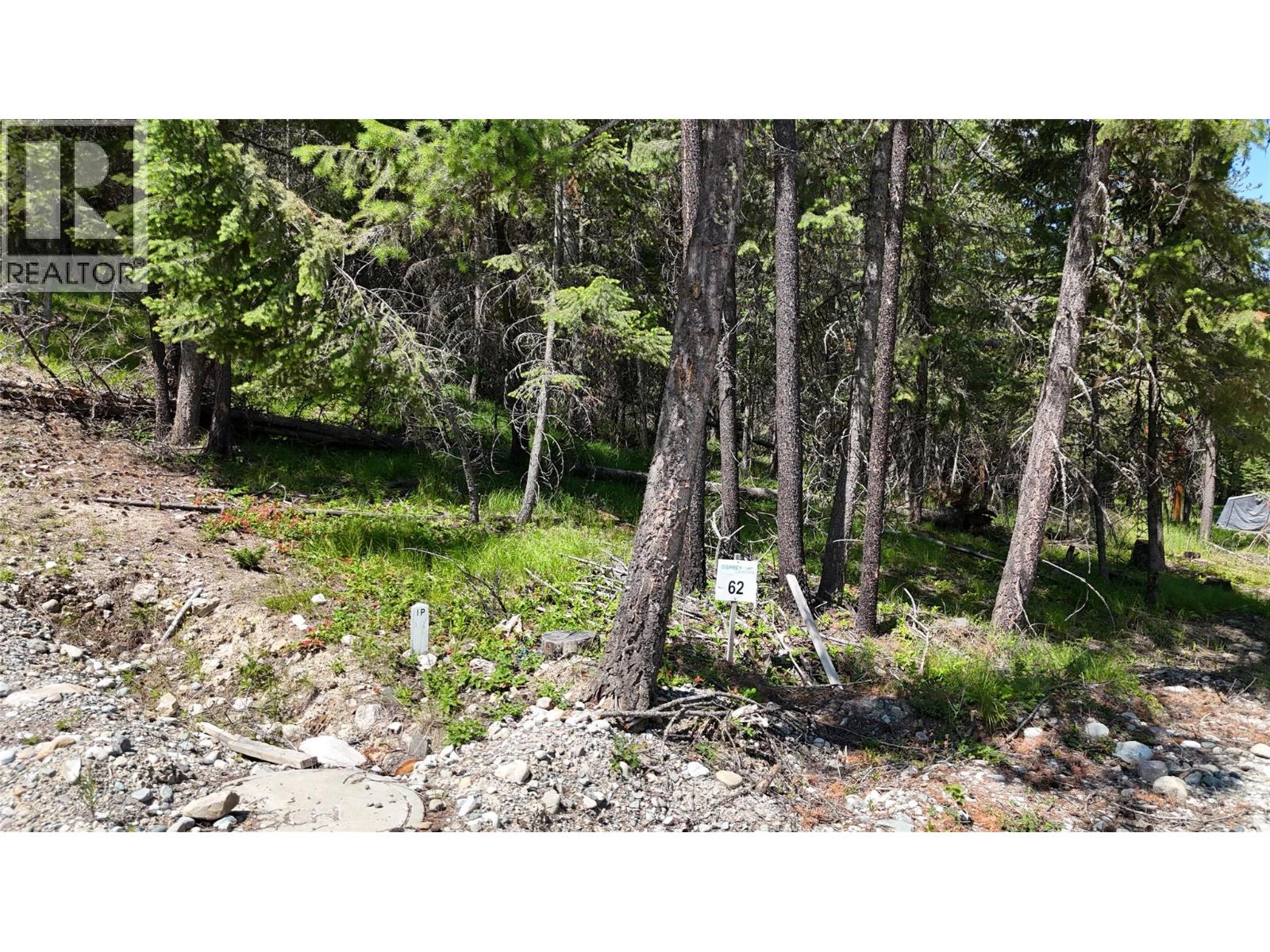 Vacant Land for Sale in Wardner – SL62 Osprey Landing View, Wardner - Image 7