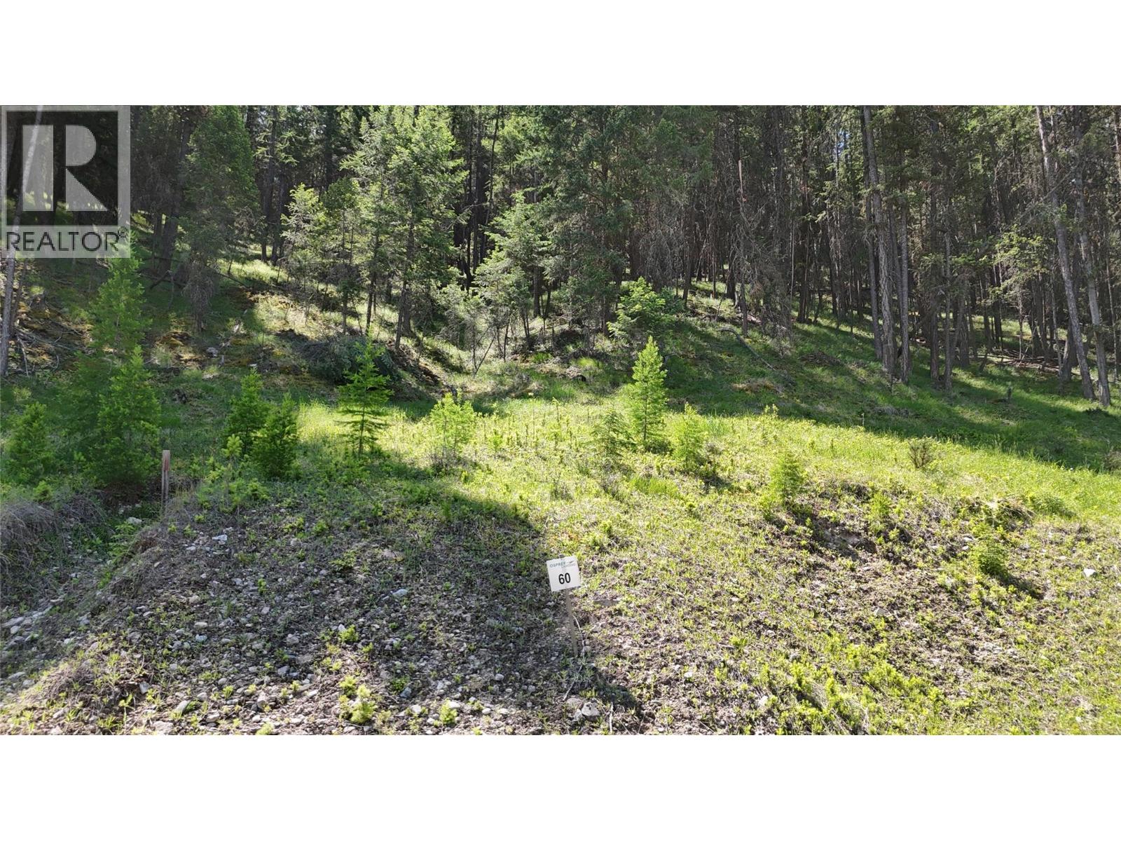 Vacant Land for Sale in Wardner – SL60 OSPREY Landing VIEW, Wardner - Image 6