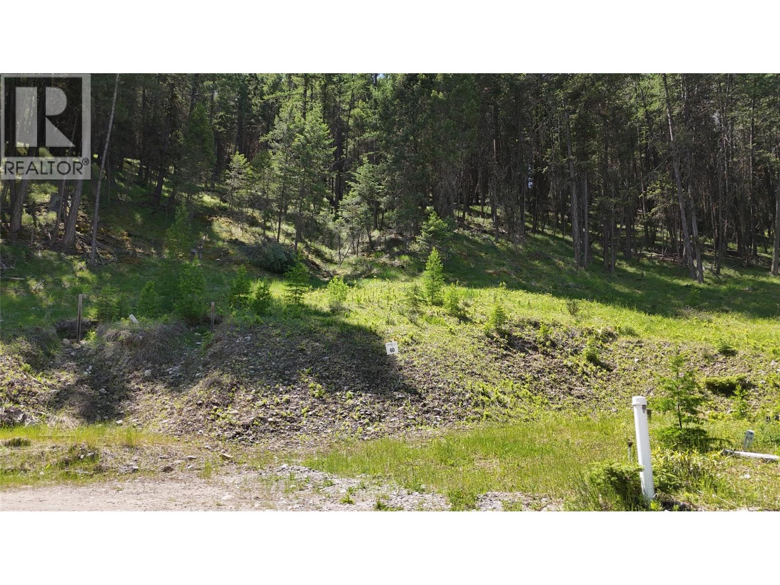 Vacant Land for Sale in Wardner – SL60 OSPREY Landing VIEW, Wardner - Image 2