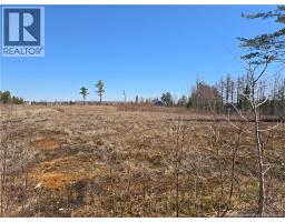 Acreage North Black River Road, Black River Bridge, NB E1N5T3 Photo 27