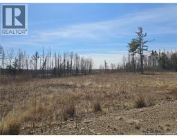 Acreage North Black River Road, Black River Bridge, NB E1N5T3 Photo 19