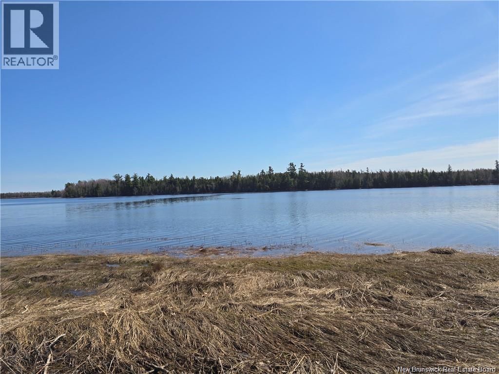 Acreage North Black River Road, Black River Bridge — photo 3
