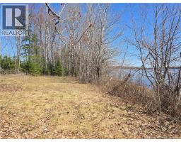 Acreage North Black River Road, Black River Bridge, NB E1N5T3 Photo 11