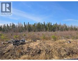 Acreage North Black River Road, Black River Bridge, NB E1N5T3 Photo 17