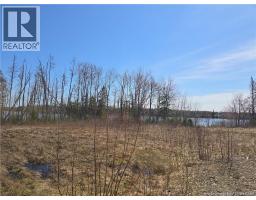 Acreage North Black River Road, Black River Bridge, NB E1N5T3 Photo 23