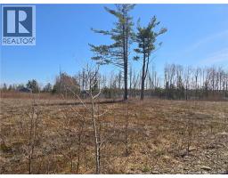 Acreage North Black River Road, Black River Bridge, NB E1N5T3 Photo 26