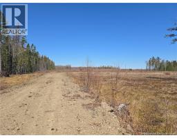 Acreage North Black River Road, Black River Bridge, NB E1N5T3 Photo 25