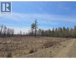 Acreage North Black River Road, Black River Bridge, NB E1N5T3 Photo 20