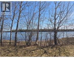 Acreage North Black River Road, Black River Bridge, NB E1N5T3 Photo 6