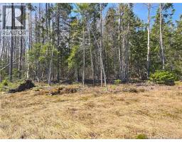 Acreage North Black River Road, Black River Bridge, NB E1N5T3 Photo 22