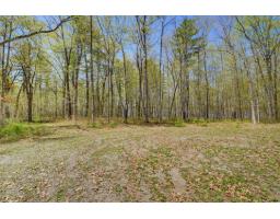 2 Ch. Harmony Bay, L Ile Du Grand Calumet, QC J0X1J0 Photo 9