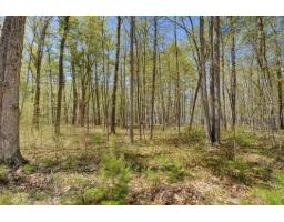 2 Ch. Harmony Bay, L Ile Du Grand Calumet, QC J0X1J0 Photo 7