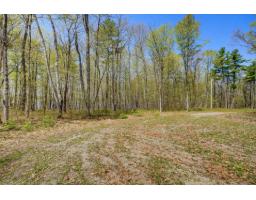 2 Ch. Harmony Bay, L Ile Du Grand Calumet, QC J0X1J0 Photo 8