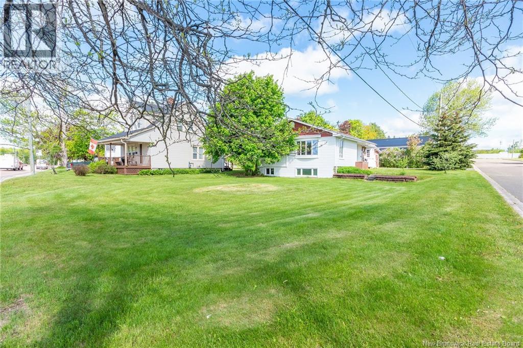10 Webster Avenue - 49