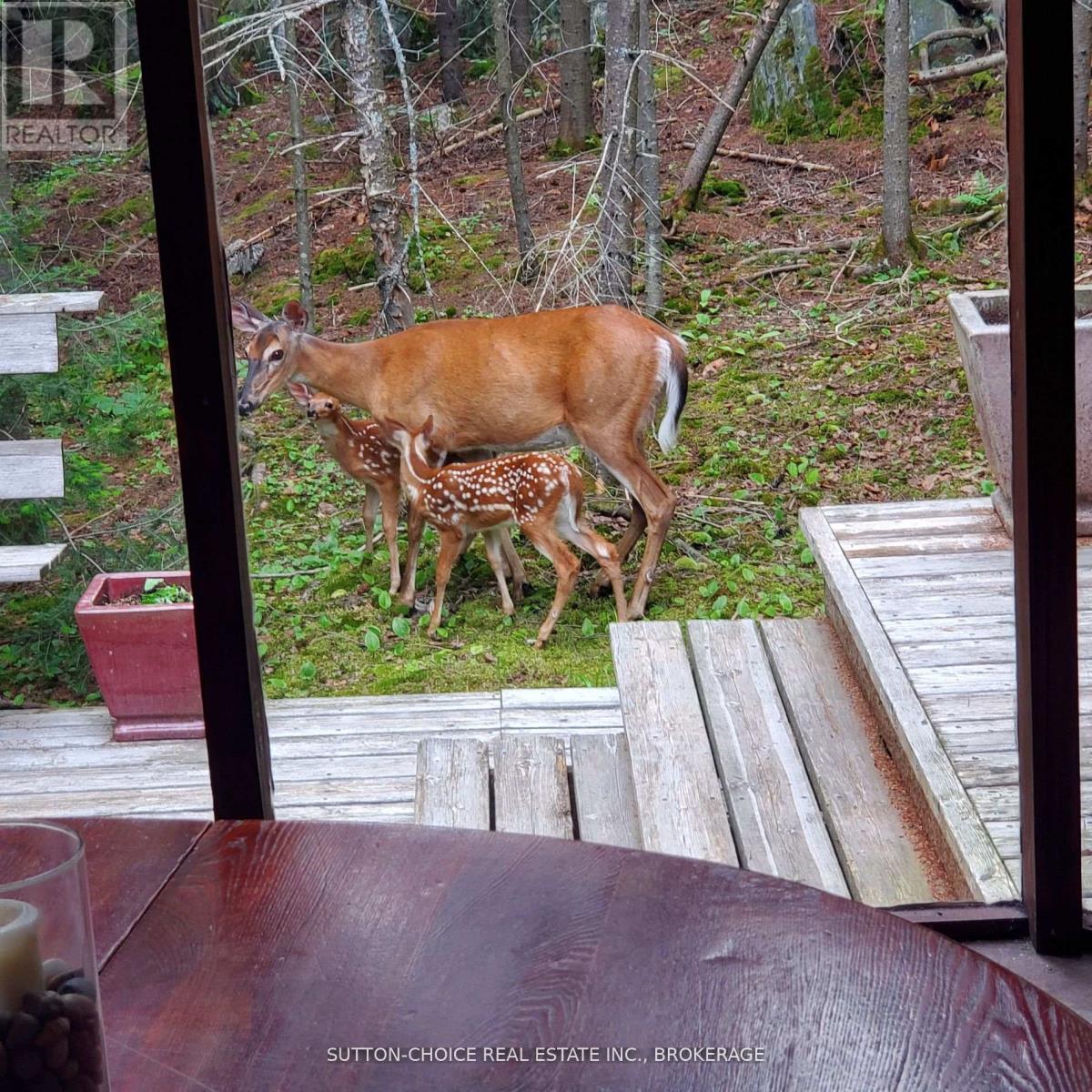 104 HEMLOCK ISLAND - 10