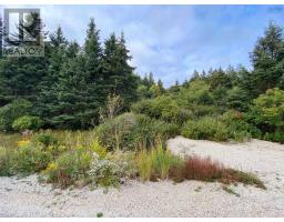 308 Highway, Morris Island, NS B0W3M0 Photo 9