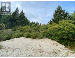 308 Highway, Morris Island, NS B0W3M0 Photo 7