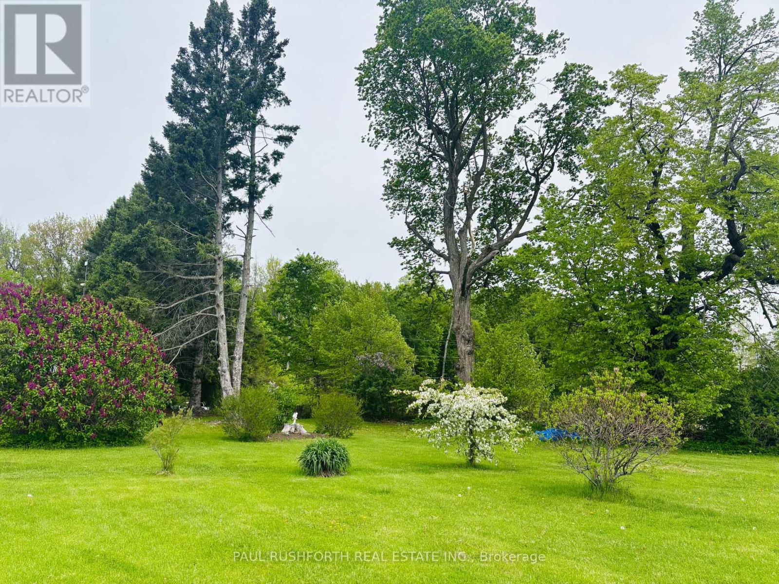 10476 RONSON ROAD - 3