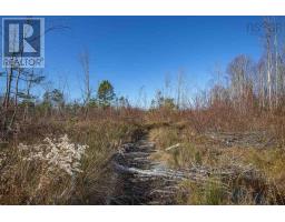 Sissiboo Road, Weymouth Mills, NS B0W3T0 Photo 22