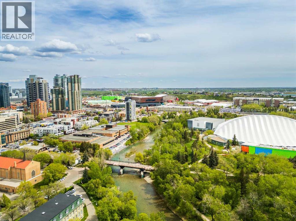 317 21 Avenue SW - 45