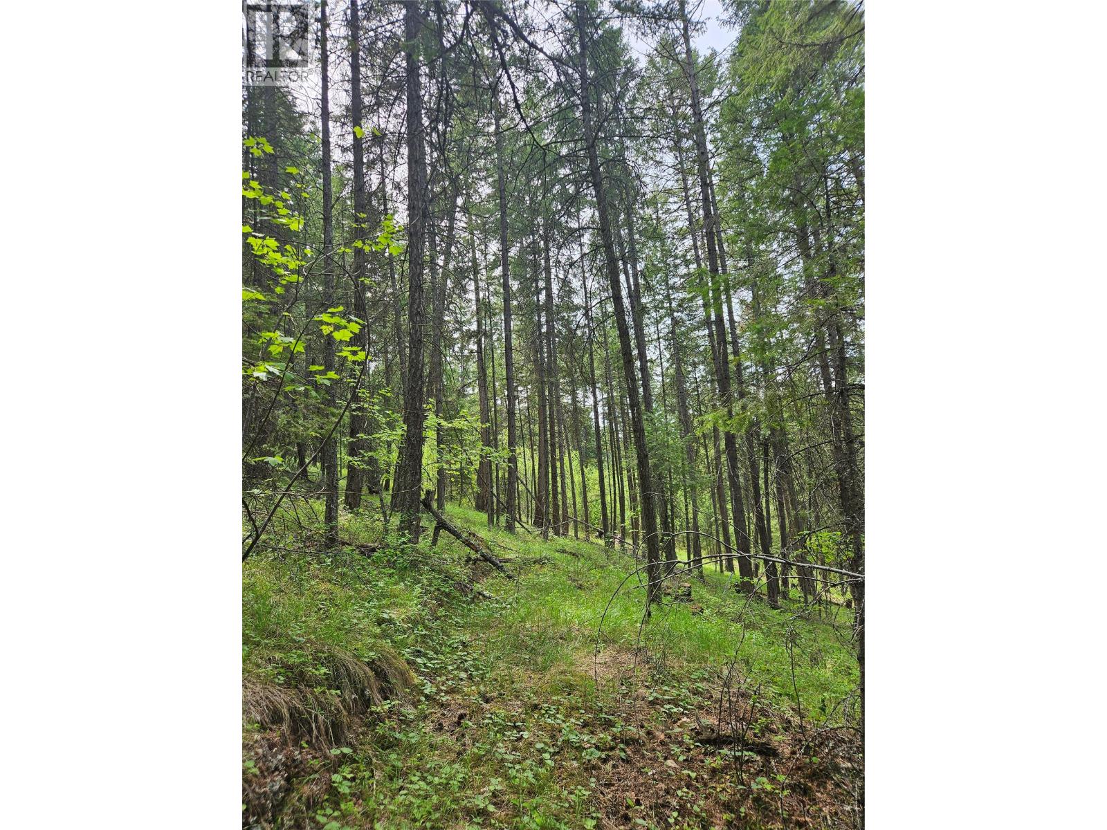 Hepburn Road Lot# 6-B, Chase
