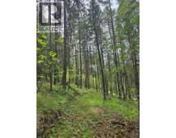Hepburn Road Lot# 6-b, Chase, BC V0E1M1 Photo 7