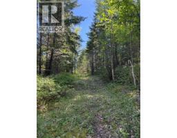 Hepburn Road Lot# 6-b, Chase, BC V0E1M1 Photo 9