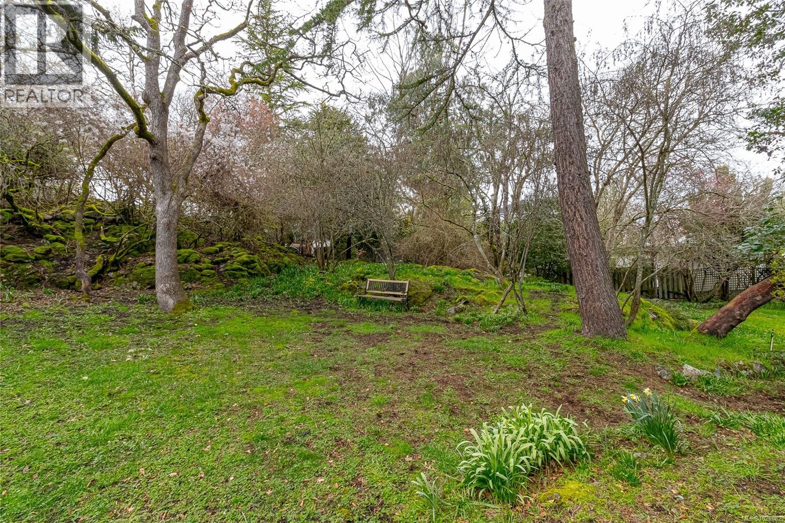 2015 Runnymede Avenue - main photo