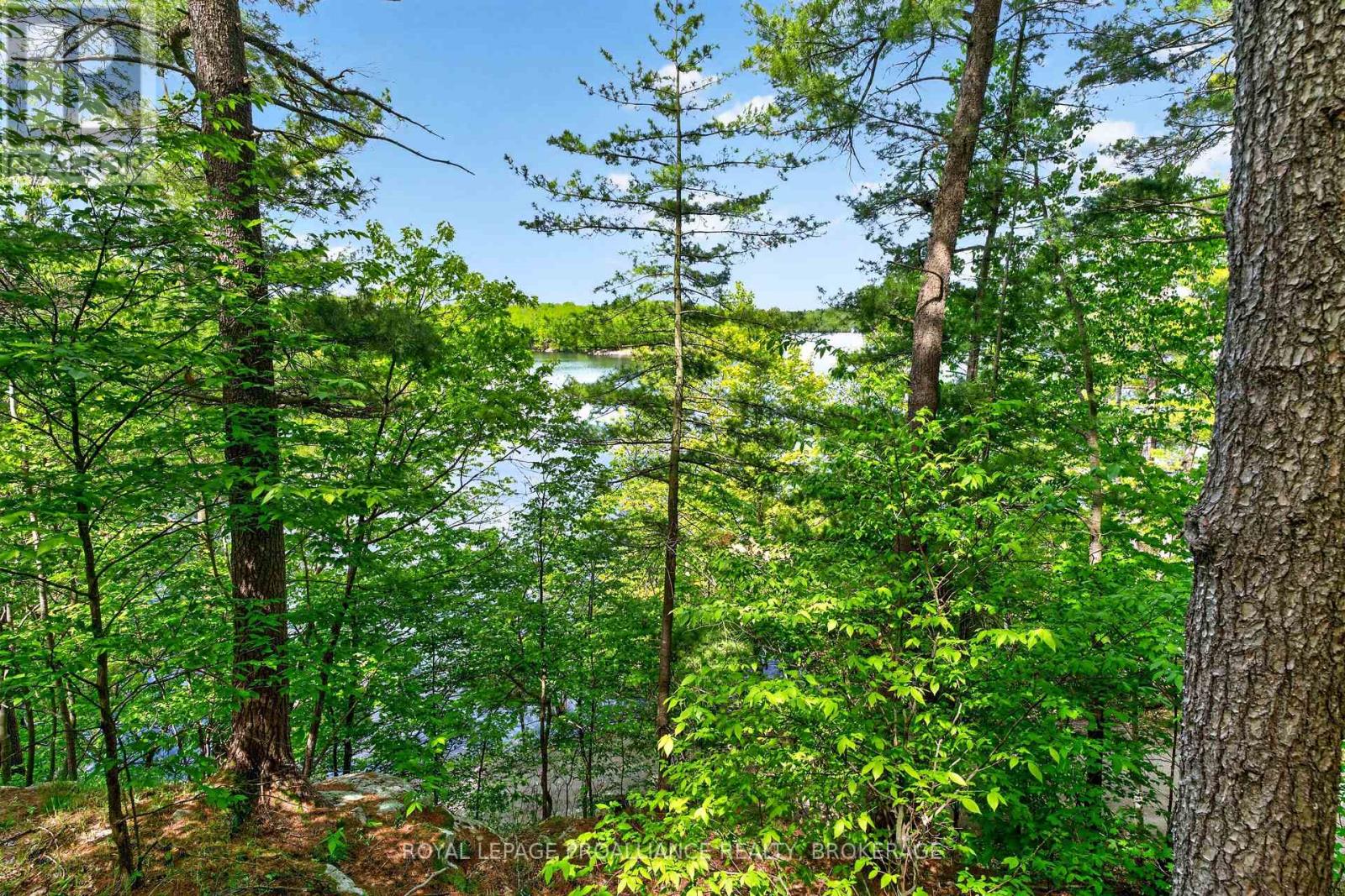 450 BROOKS POINT ROAD - 35