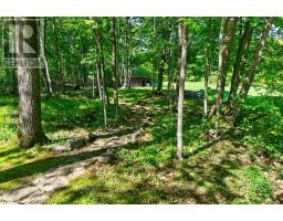 129 Cross Road, Rideau Lakes, ON K0G1E0 Photo 10